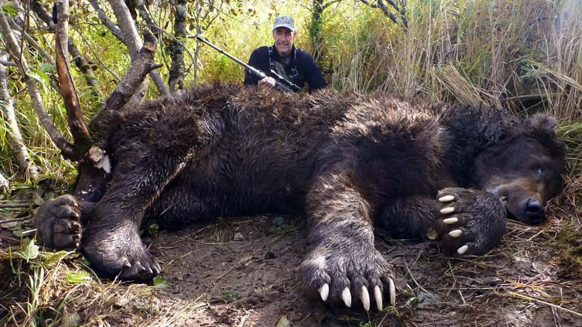 ⁣World's Biggest Animals All Time   Biggest Animals  Huge Animals   BIG ANIMALS  LARGGEST ANIMAL