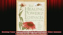 READ book  Healing Power of Echinacea and Goldenseal and Other Immune System Herbs The Healing Full Free