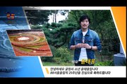 [국민체육진흥공단]88서울올림픽이 개최 25주년 기념 연예인 축하 메세지