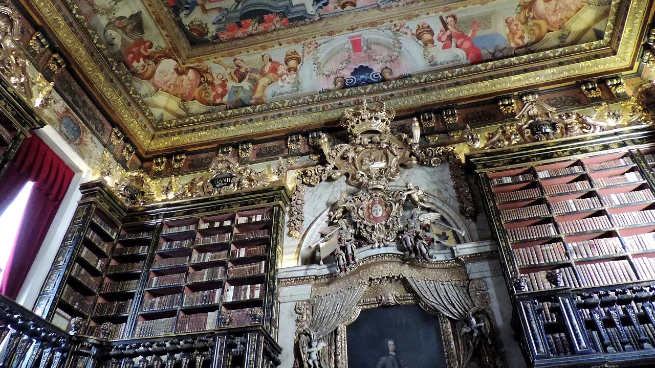 Coimbra y Viana 2015