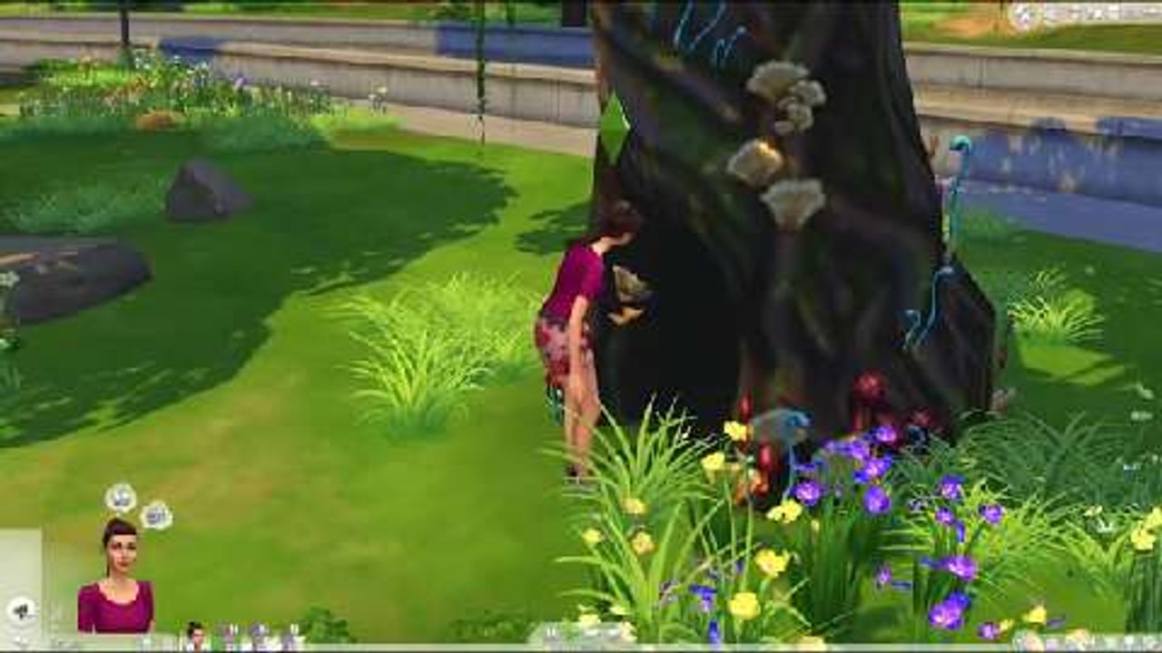 Die Sims 4:  Den geheimen Ort in Willow Creek freischalten