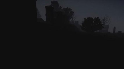 H1Z1: Will You Survive the Night?
