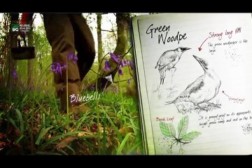 Wild Britain with Ray Mears | Series 2 | 05 of 10 | Sea Loch [English Subtitles]