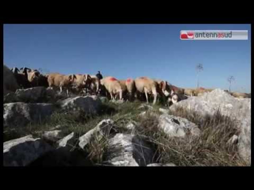 Tg Antenna Sud - Con una App Murgia Pulita 365 giorni l'anno