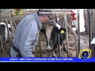 Download Video: Corato |  Smaltivano e sversavano letame nelle campagne