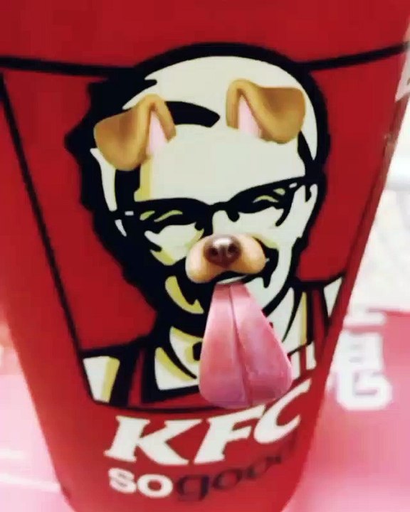 the dog & kfc