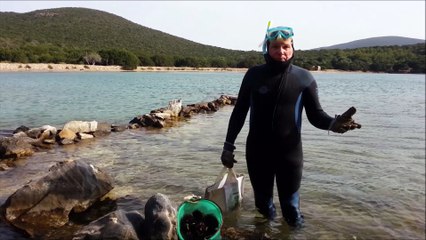 Fleur de Passion 2016 - Oursinade