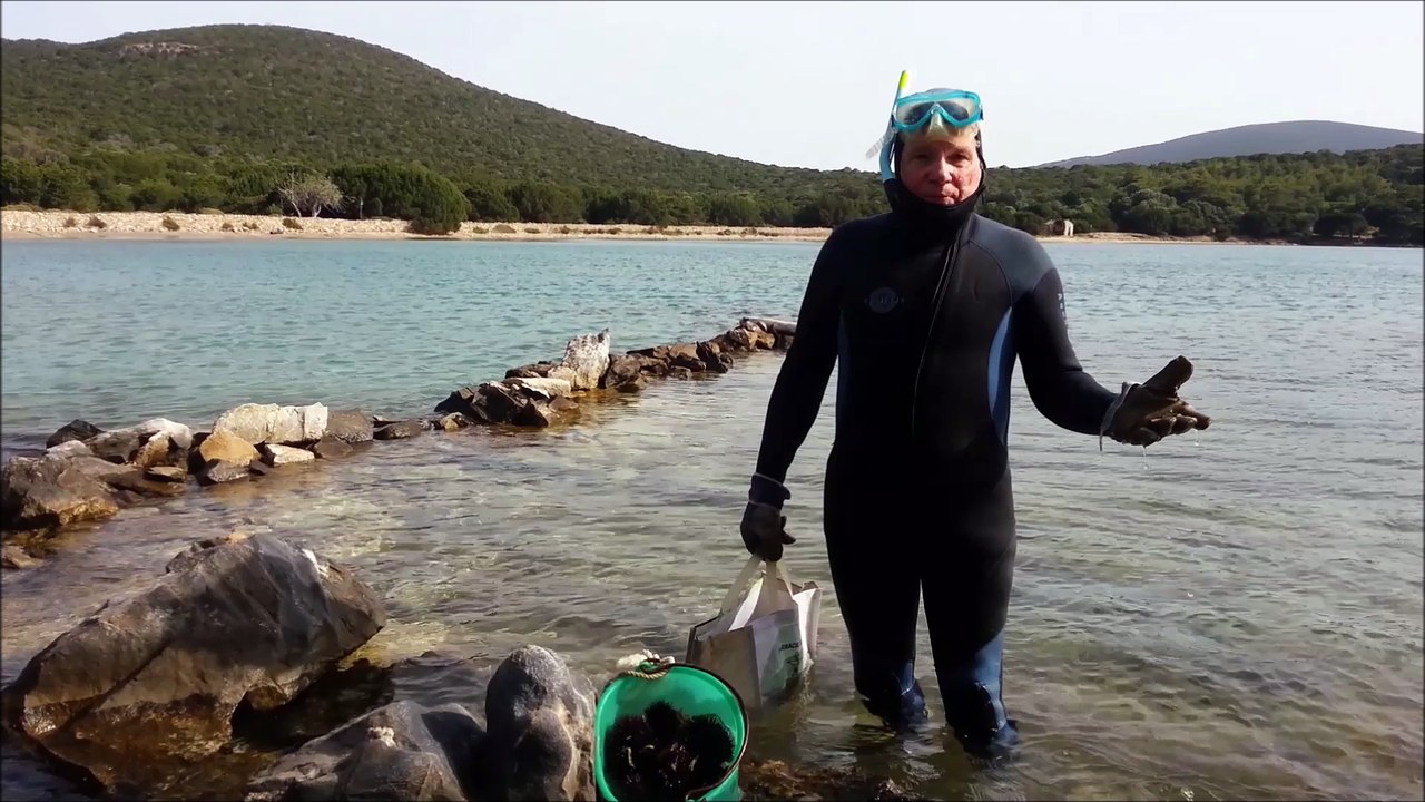 Fleur de Passion 2016 - Oursinade