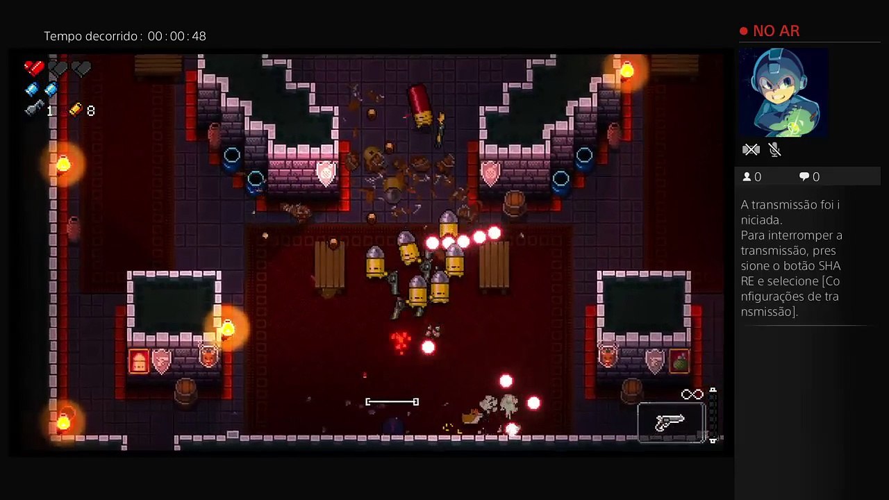 Enter the gungeon br
