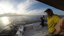 Lake Michigan Salmon Fishing 2016
