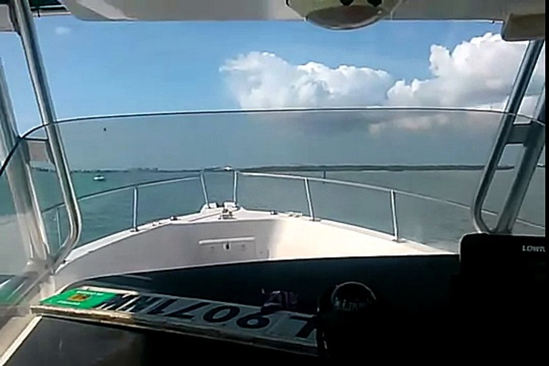 proline 27 sport