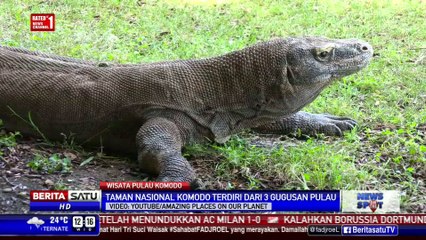 Wisata Pulau Komodo