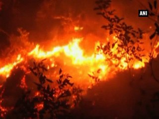 Rising temperature, dry spells leads to another forest fire in Uttarakhand