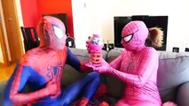 Spiderman vs Spider in Real Life! Fun Superhero Compilation w_ Frozen Elsa & Pink Spidergirl