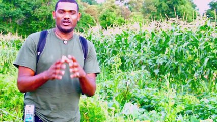 Food Inflation _ Dr. Garth Vickers