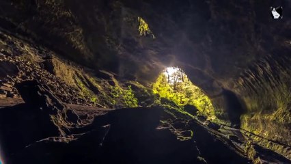 Ana Criado - Dancing Sea (Moonnight remix)