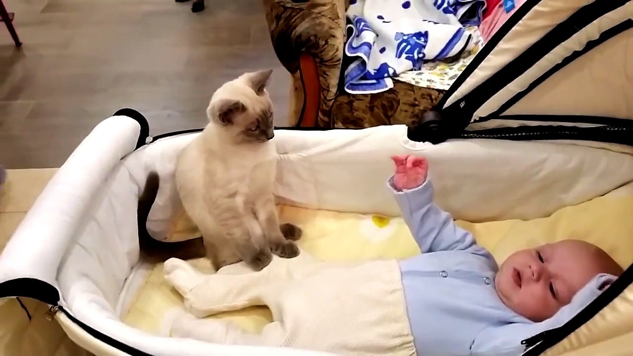 Her Baby Wouldn't Stop Crying...What This Cat Does Is Amazing!