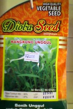 agricultural vegetable seeds