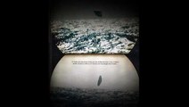 Navy Arctic UFO Images - Anonymous Source Leaked USS Trepang images.