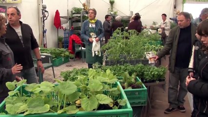 flash info des communes 190516