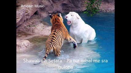 Shawali aw Setara - Pa tur orbal me sra gulona