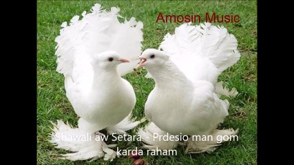 Shawali aw Setara - Prdesio man gom karda raham