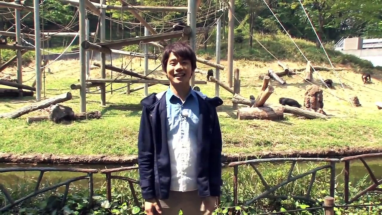 「動物園で学ぶ！動物のふしぎ　チンパンジー」＜こどもちゃれんじ＞ライブ授業
