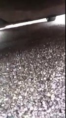 Ice cream van chime wind up mozarts