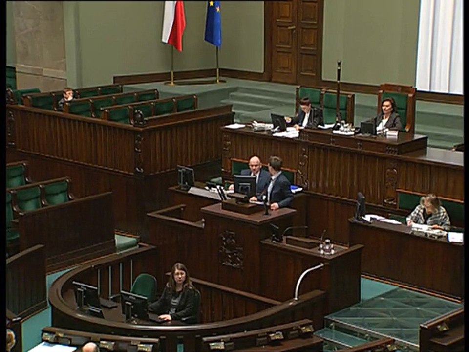 Poseł Katarzyna Lubnauer - Wystąpienie z dnia 18 maja 2016 roku.