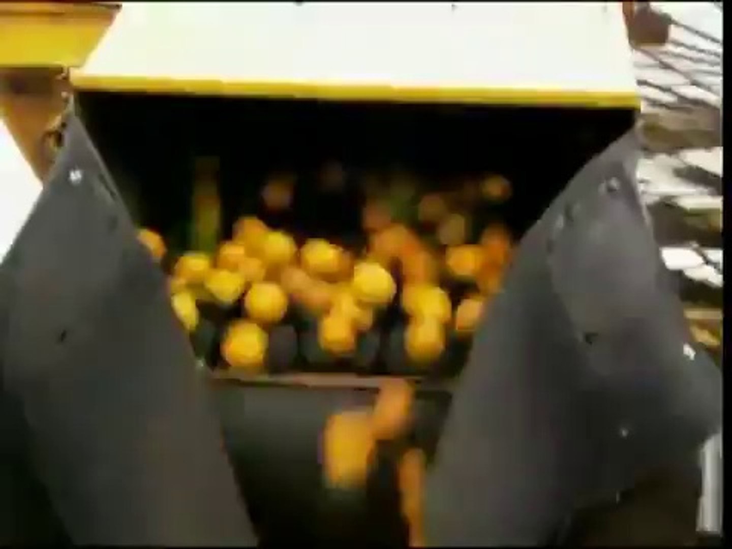 Julien Randoulet - How orange juice is made