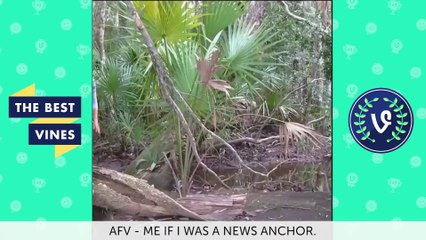 Best Fails Vines Compilation _ Top Fail Vines May 2016