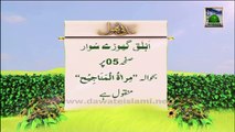 Information about Qurbani 17 (Urdu) - Madani Phool - Golden Words