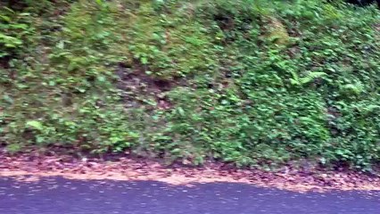 Ronde de l'Isard : Vadim Deslandes dans le Portet d'Aspet