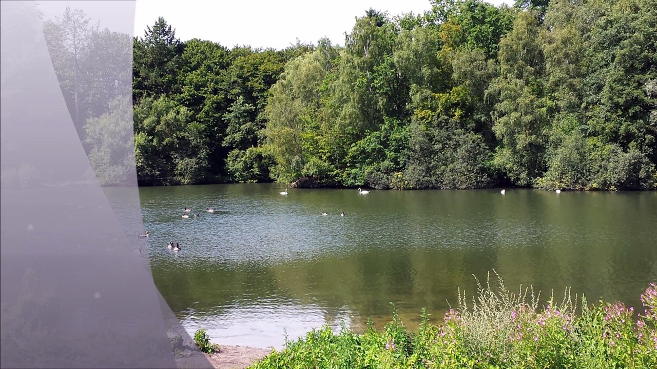 Öjendorfer park mai 2016