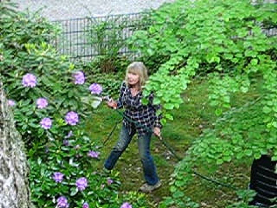 MVI_1275 Ein Sommertag in Berlin