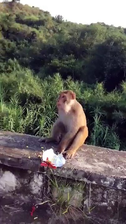 funny video that enjoy all of you