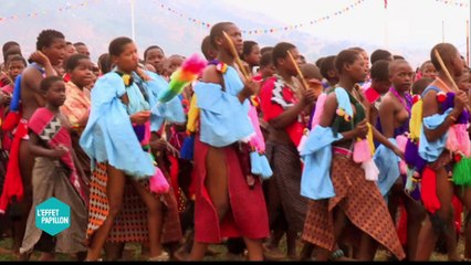 Le Dictature Tour : Swaziland - L'Effet Papillon du 22/05 - CANAL +