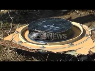 Shkarkohet shefi i Sigurisë Ajrore Farkë, ishte në fluturim privat ditën e aksidentit