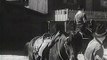 The Adventures of Rin Tin Tin @ 145 Running Horse