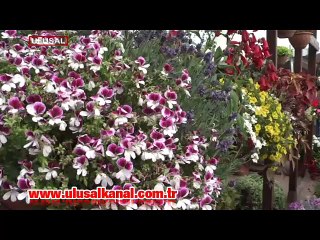 Antalya 12'inci çiçek festivali renkli görüntülere sahne oldu