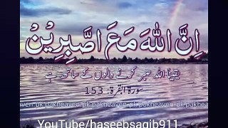 Haseeb saqib video