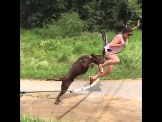 Funny Girls Running Fail Video - Funny Whatsapp Video 2016 | WhatsApp Video Funny 2016 | Funny Fails 2016 | Viral Video