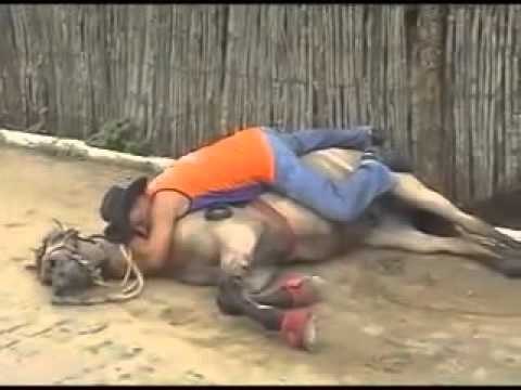 Ha Ha What this Man Is Doing ? Whatsapp Funny Videos 2016 - Funny Whatsapp Video 2016 | WhatsApp Video Funny 2016 | Funny Fails 2016 | Viral Video