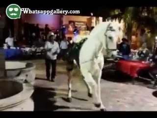 Amazing Horse Dance-Funny Whatsapp Video 2016 | WhatsApp Video Funny 2016 | Funny Fails 2016 | Viral Video