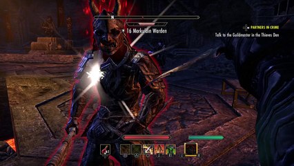 The Elder Scrolls Online: Tamriel Unlimited_20160522110321