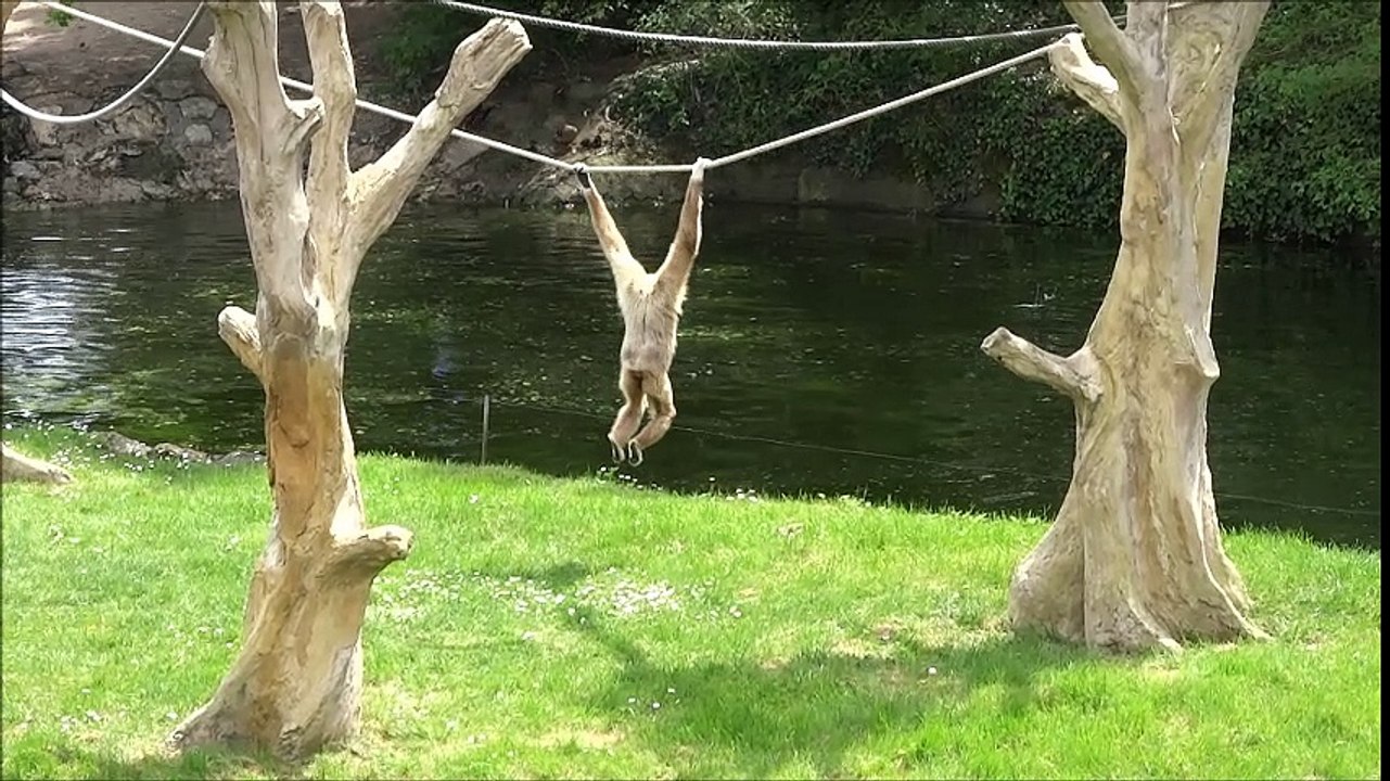 Zoo de la Palmyre