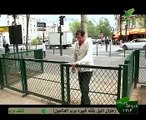 مذكرات سائح (5) - 24 - الثورة و الفن