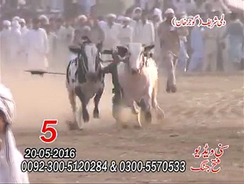 T.A.M.A.S.H.A Gujjer Khan