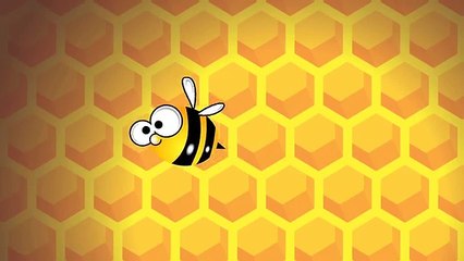 Arı Vız Vız Vız - Çocuk Şarkısı