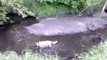 MOV_0026.mp4